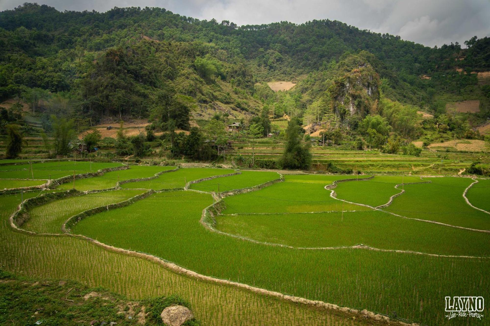 Quiri Hostel Ha Giang Lang Lap Ngoại thất bức ảnh
